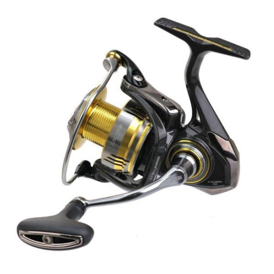 RYOBI ZAUBER LT 1000HP