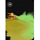 DEEPER SMART SONAR CHIRP +4
