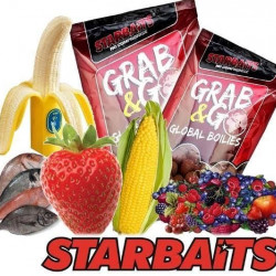 STARBAITS BOILE JAGODA 14MM 2,5KG