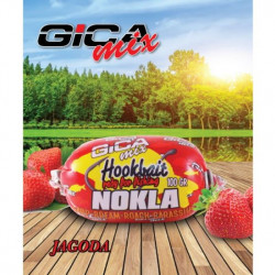 GICA NOKLA 100GR JAGODA