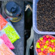SBS PREMIUM ALL IN B1 PELLET BOX 400GR M1