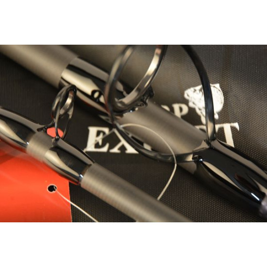 CARP EXPERT SCORE FEEDER 390 120-200GR