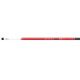 DAIWA X NINJA TELE POLE 5,00M 11629-500