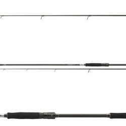 DAIWA CALDIA SPIN 2,70M 15-50 11520-270