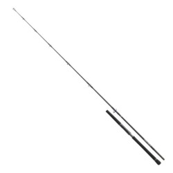 DAIWA SALTIGA LIGHT GAME 8FT 40-110 11501-240