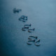 SBS UDICA METHOD FEEDER GRIP TIP 14