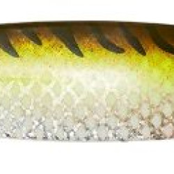 DAM EFFZET SLIM STANDARD SPOON HOLOGRAFIC BLUE/CHARTREUSE 6,5CM 16GR