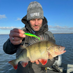 RAPALA CRUSHCITY THE KICKMAN 3 CWF