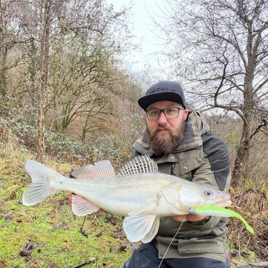 RAPALA CRUSHCITY THE STINGMAN 5 PBRP