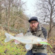 RAPALA CRUSHCITY THE STINGMAN 5 PBRP